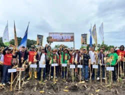 Wakil Bupati Lembata Hadiri Panen Raya Jagung PT SMJ, Dorong Pertanian Modern dan Hilirisasi