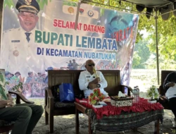 Semangka dan Jagung jadi Andalan Lembata, Bupati Siapkan Strategi Modernisasi Pertanian
